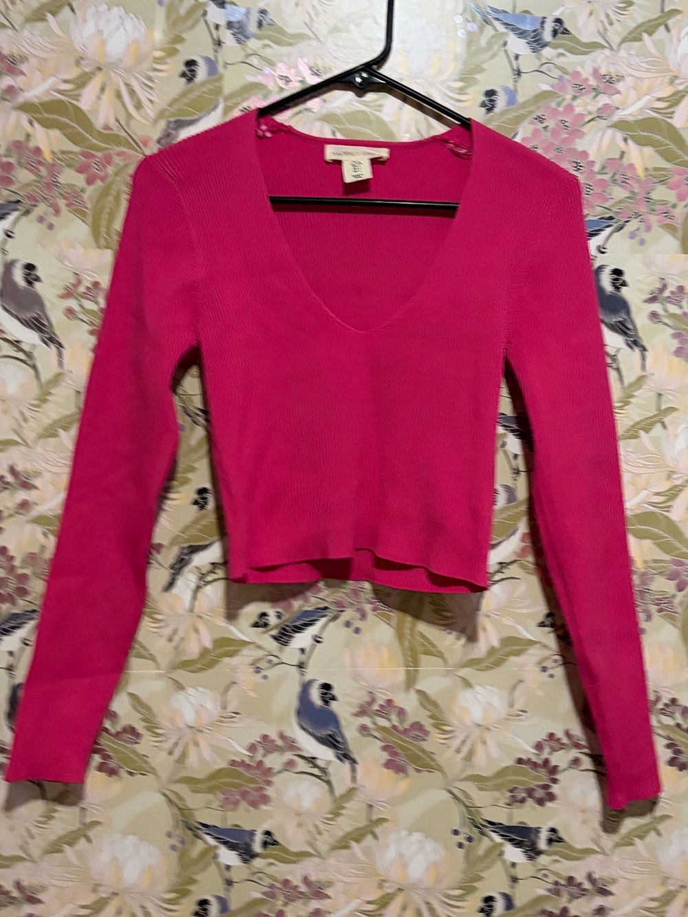 Cropped V-Neck Ribbed Long Sleeve Top — Hot Pink